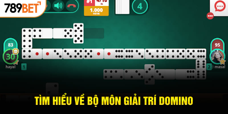 Tìm hiểu về bộ môn giải trí Domino